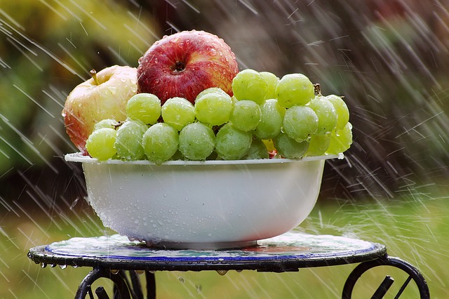 bowl-of-fruit-in-rain-4125348_640.jpg